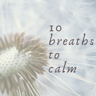  10 Breaths to Calm